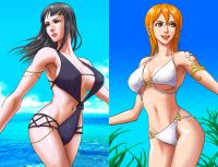one_piece_nami_x_nico_robin_20110626_031.jpg